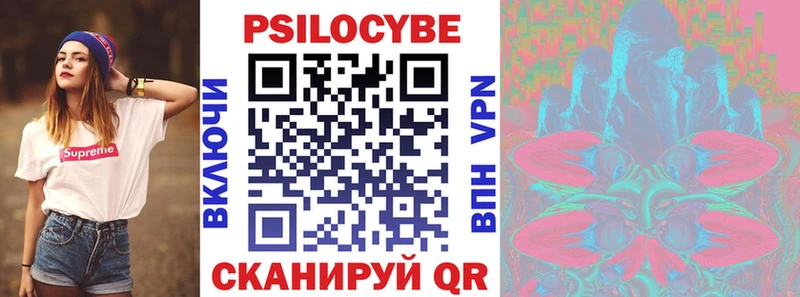 Псилоцибиновые грибы Psilocybine cubensis  Гдов 